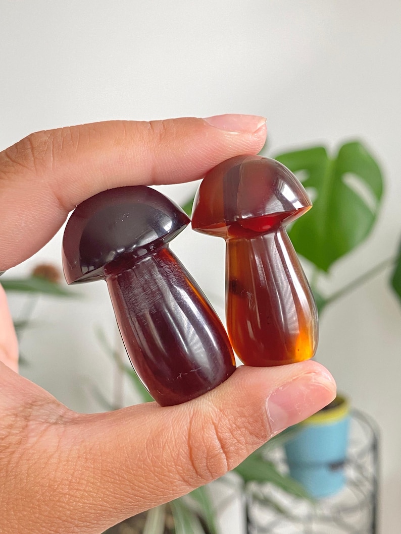 May include: Two small, mushroom-shaped objects with a glossy finish. One is a deep, dark brown, and the other is a lighter amber color. The objects have a smooth, rounded cap and a slender stem. They are held in a person's hand.