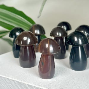 May include: A collection of small, mushroom-shaped decorative objects. The mushrooms have a glossy, polished appearance with varying shades of brown and black. They are arranged on a white surface, with green foliage in the background.