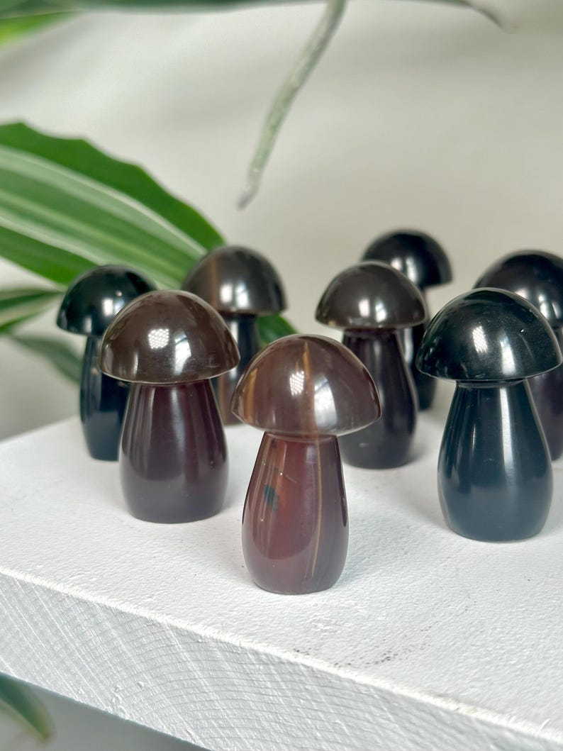 May include: A collection of small, mushroom-shaped decorative objects. The mushrooms have a glossy, polished appearance with varying shades of brown and black. They are arranged on a white surface, with green foliage in the background.