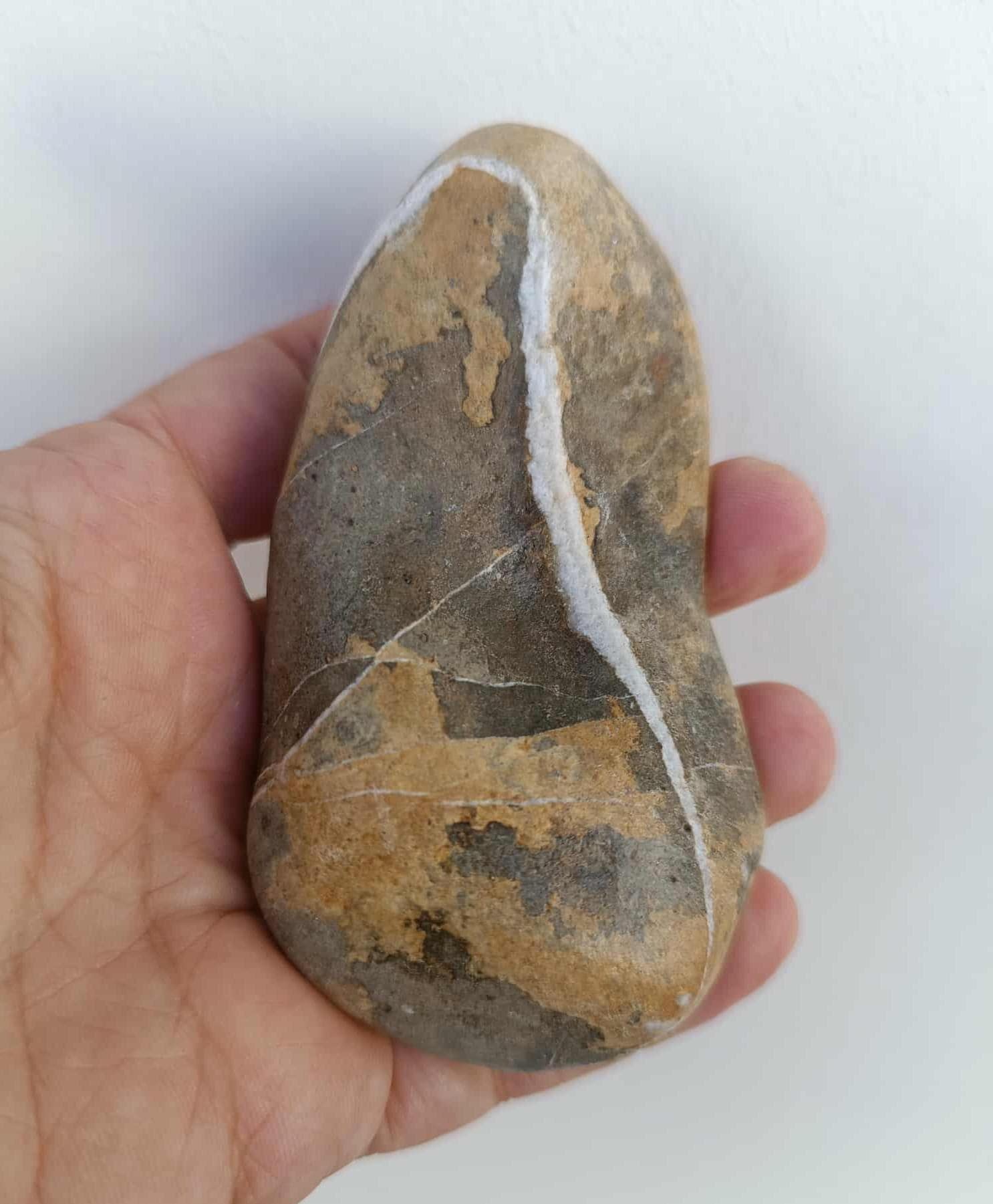 自然石 水石 抽象的な形状 緋山酔恭「山水石美術館」 全国の水石・美石を紹介 紋様石・絵画石