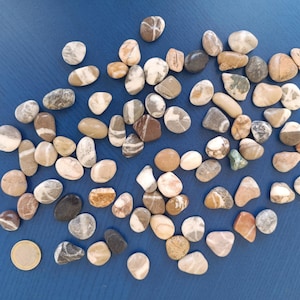 Sea Stones set of 80 - Decorative Sea Stones - Natural - Wishing Stones - Pebble Art - Beach Minerals - Rare Colourful Stones