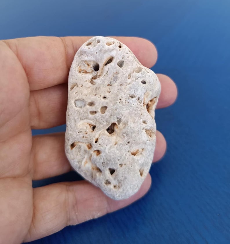 Pebble Rarest Stone Rare Hagstone - Stone With Natural Holes - Witchcraft Pebble - Genuine ...