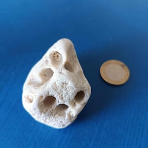 Extremely Rare Wishing Stone - White Energy Stone with natural holes - Witchcraft pebble - Genuine Pebble - Hag stone
