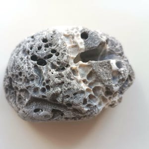 May include: A porous, gray stone with numerous holes and a rough texture. The stone has a rounded shape and a light-colored interior visible in some areas. The overall appearance suggests a natural, weathered object.