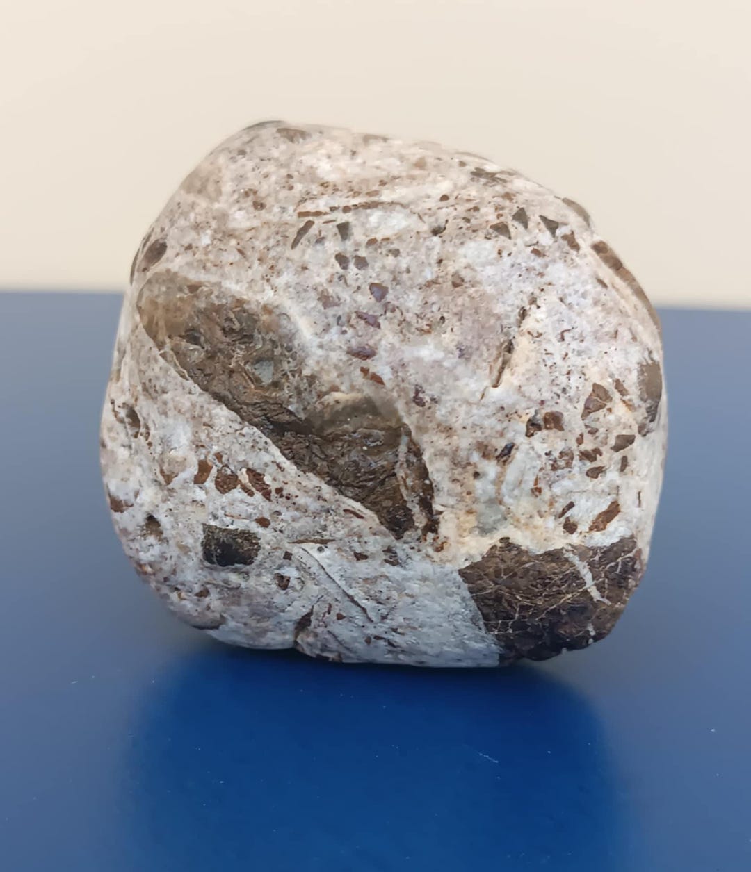 Rock Rere Very Rare Pudding Stone, 291 Gr - Mineral Sea Rock - Rare Sea Rock ...