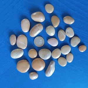 Sea Stones set of 25 - Decorative Sea Stones - Natural - Wishing Stones - Pebble Art - Beach Decor - Beach Minerals