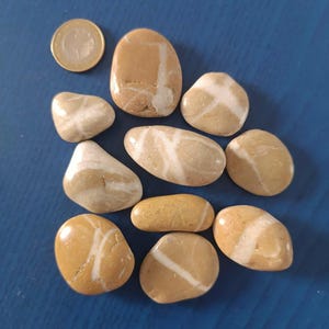Sea Stones set of 10 - Decorative Sea Stones - Natural - Wishing Stones - Pebble Art - Beach Decor - Stones With White Lines