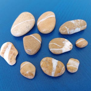 Sea Stones set of 10 - Decorative Sea Stones - Natural - Wishing Stones - Pebble Art - Beach Decor - Stones With White Lines
