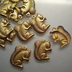 12 Brass Squirrel Charms ZE107 - Etsy