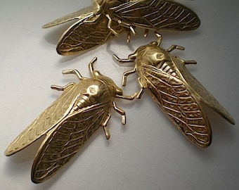 4 large brass cicada stampings ZF606