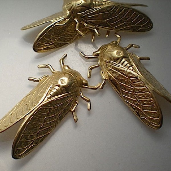 4 large brass cicada stampings ZF606