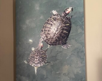 Turtles