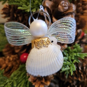 Seashell Angel Ornament