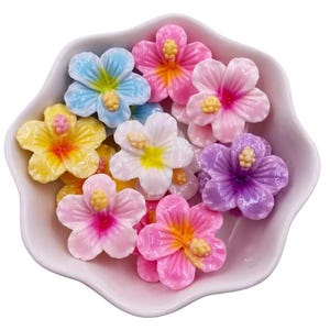 20 Pieces Rainbow Hawaiian Hibiscus Flower, Floral Theme, Resin Cabochon, Flat Back, Junk Charms, Plastic Charm, Craft Supplies, Bulk Buy