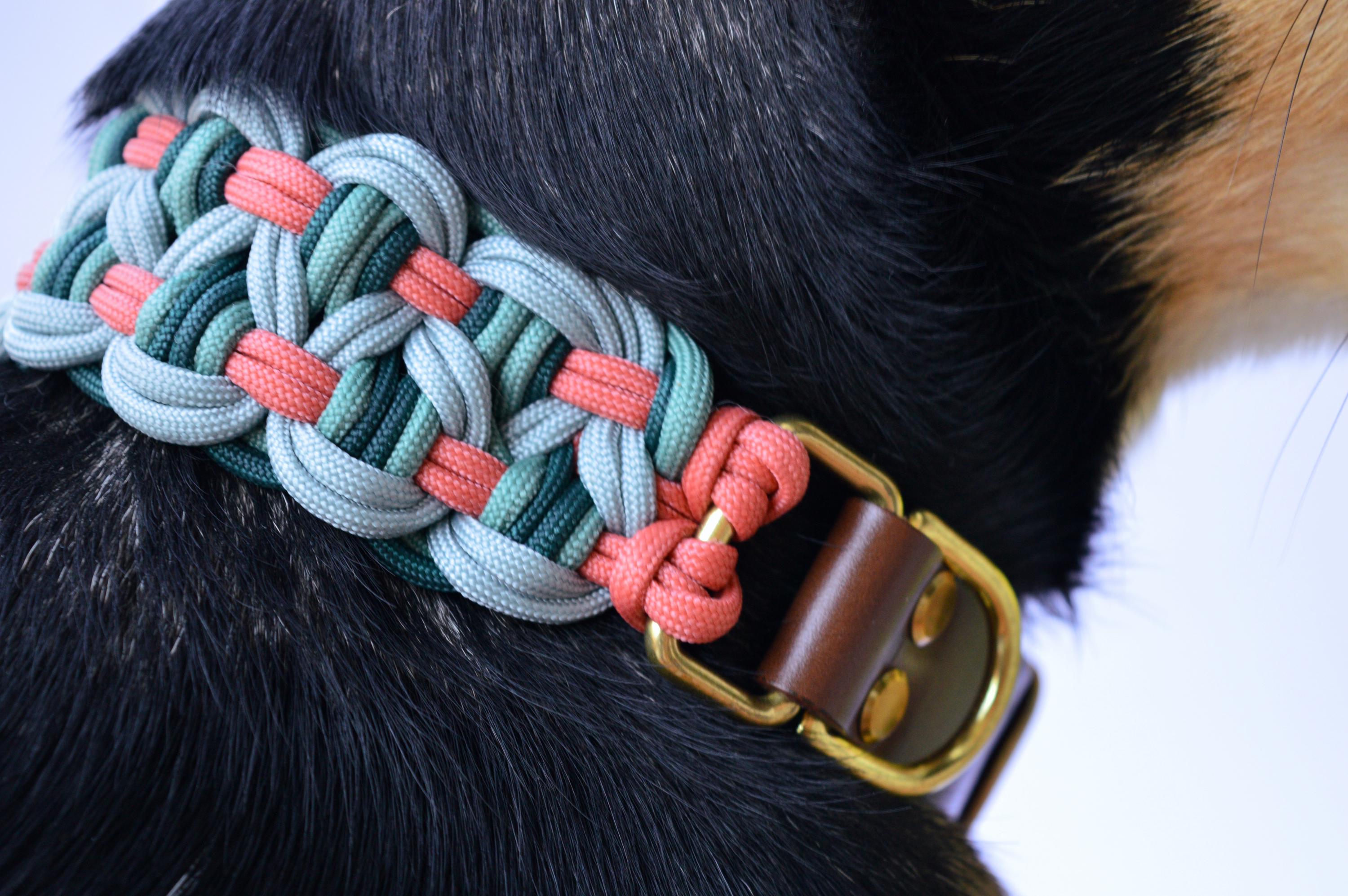 革留め具付きハンドメイド編み込み犬用首輪 - Etsy 日本