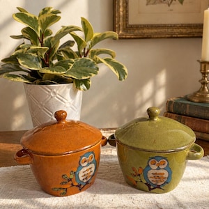 May include: Two ceramic lidded bowls with side handles, one in a glossy amber orange and the other in a glossy olive green. Each bowl features a hand-painted graphic of a blue owl perched on a brown branch with orange leaves on the front surface.