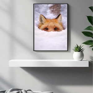 以下が含まれることがあります： 雪の中から顔を出すキツネが描かれたフレームプリント。キツネはオレンジ色の毛皮、黒い先端の耳、茶色の目をしています。アートワークは、白い鉢に入った小さな植物とともに、灰色の壁に白い棚に展示されています。