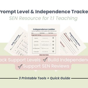 SEN Prompt Level Independence Tracker (Digital Download)