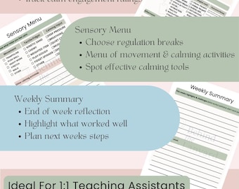 SEN Daily Intervention & Sensory Log | Teaching Assistant Printable | Digital download
