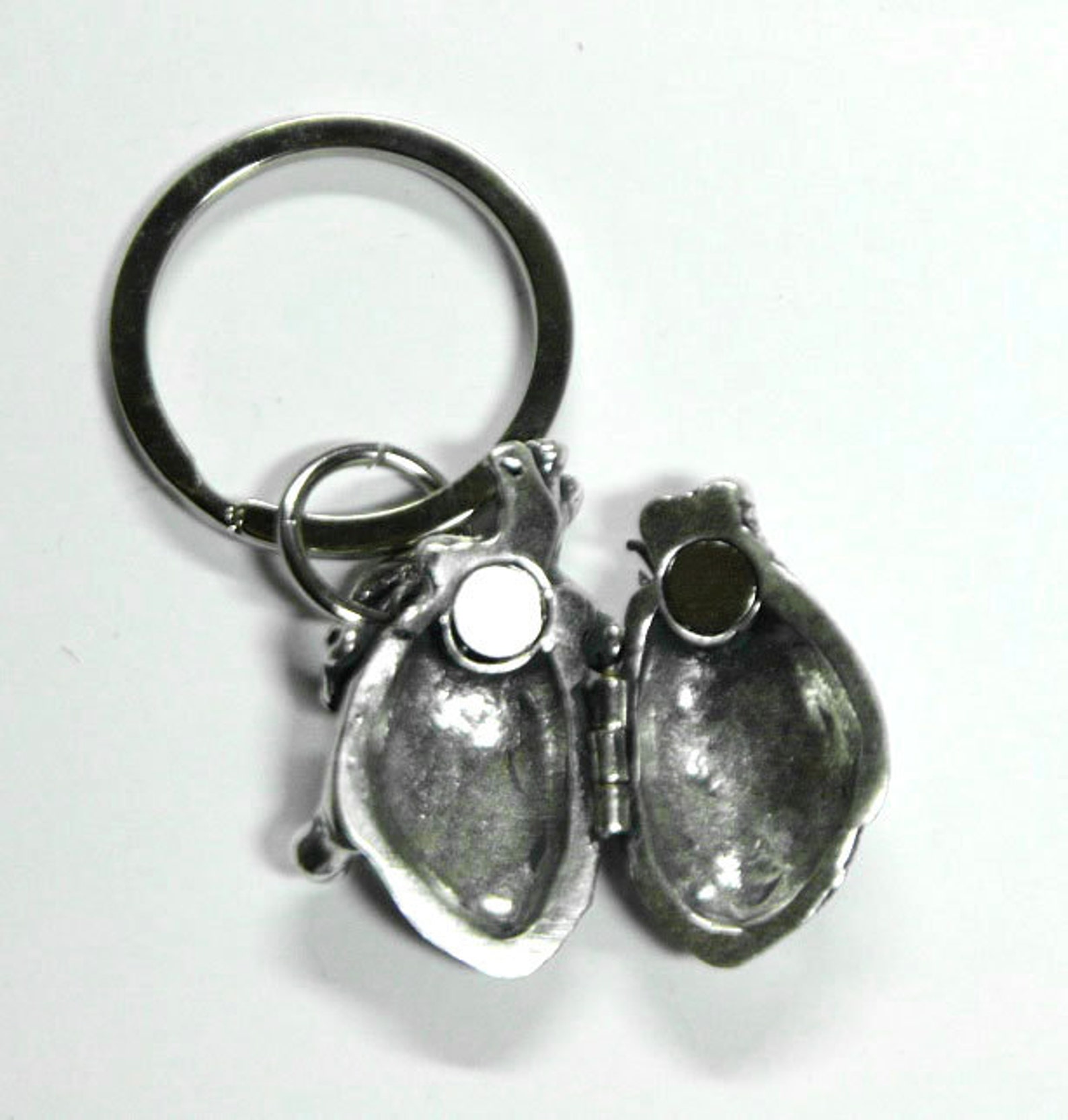 Anatomical Human Heart Locket Key chain Human Heart Key Etsy