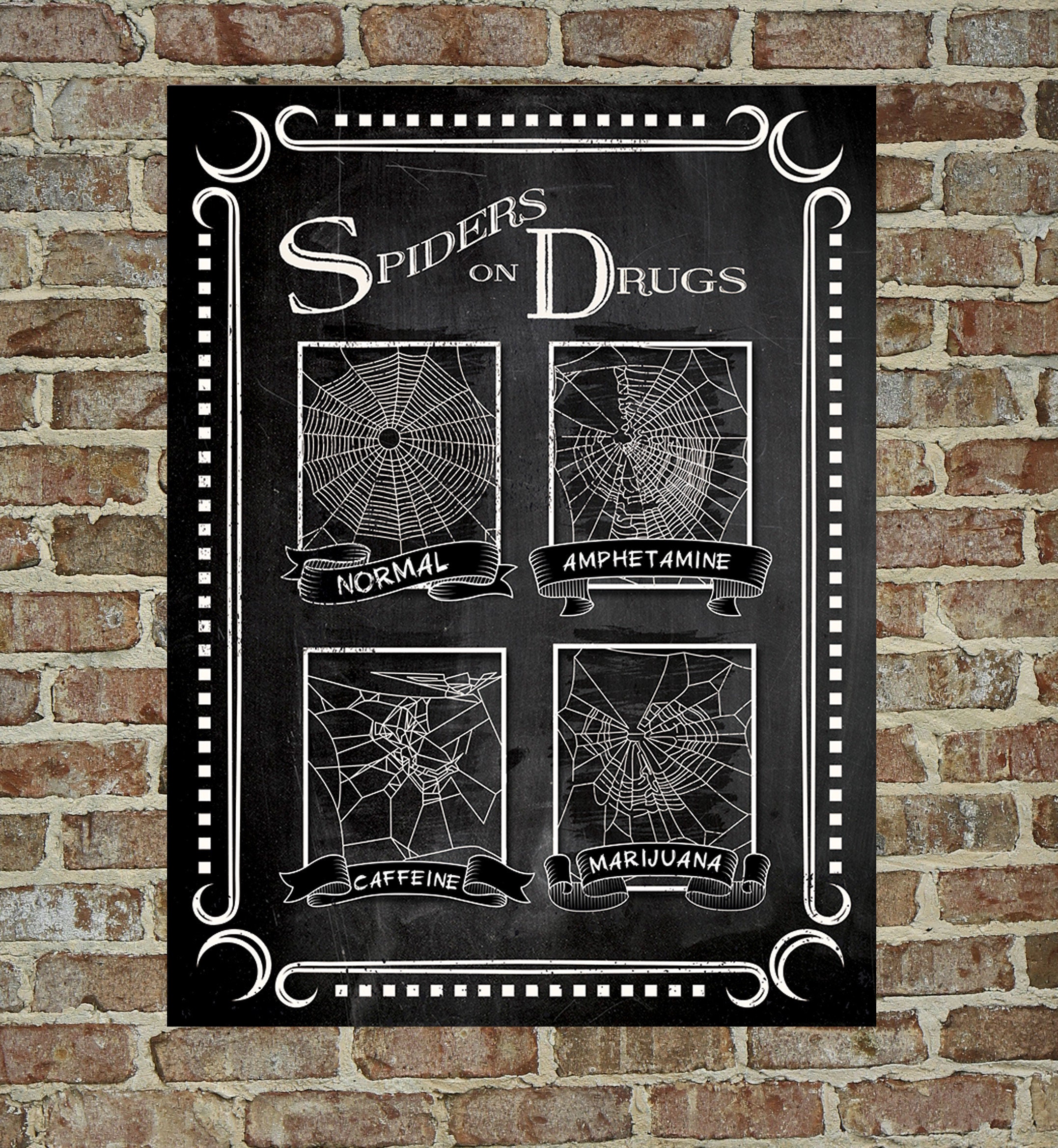 Spinne auf Drogen Poster - Etsy.de