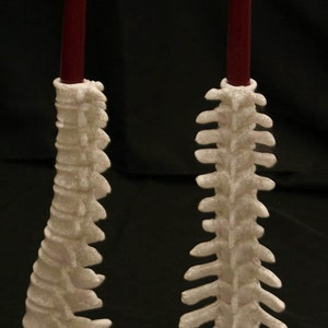 Anatomical Spine candle holder