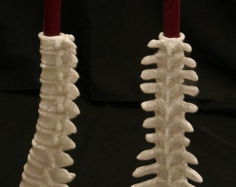 Anatomical Spine candle holder