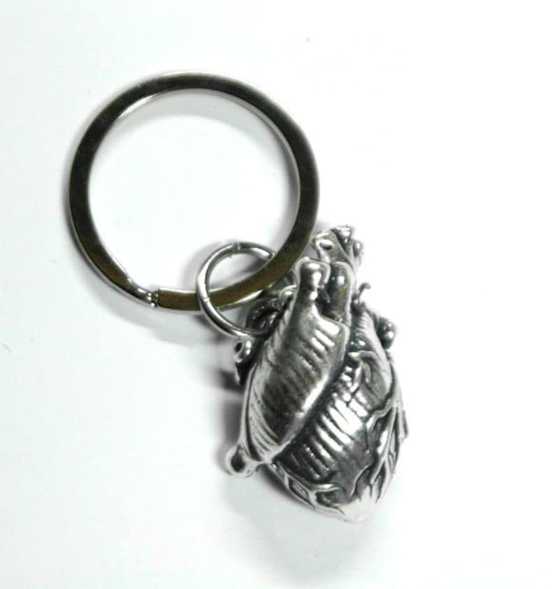 Anatomical Human Heart Locket Key chain Human Heart Key Etsy
