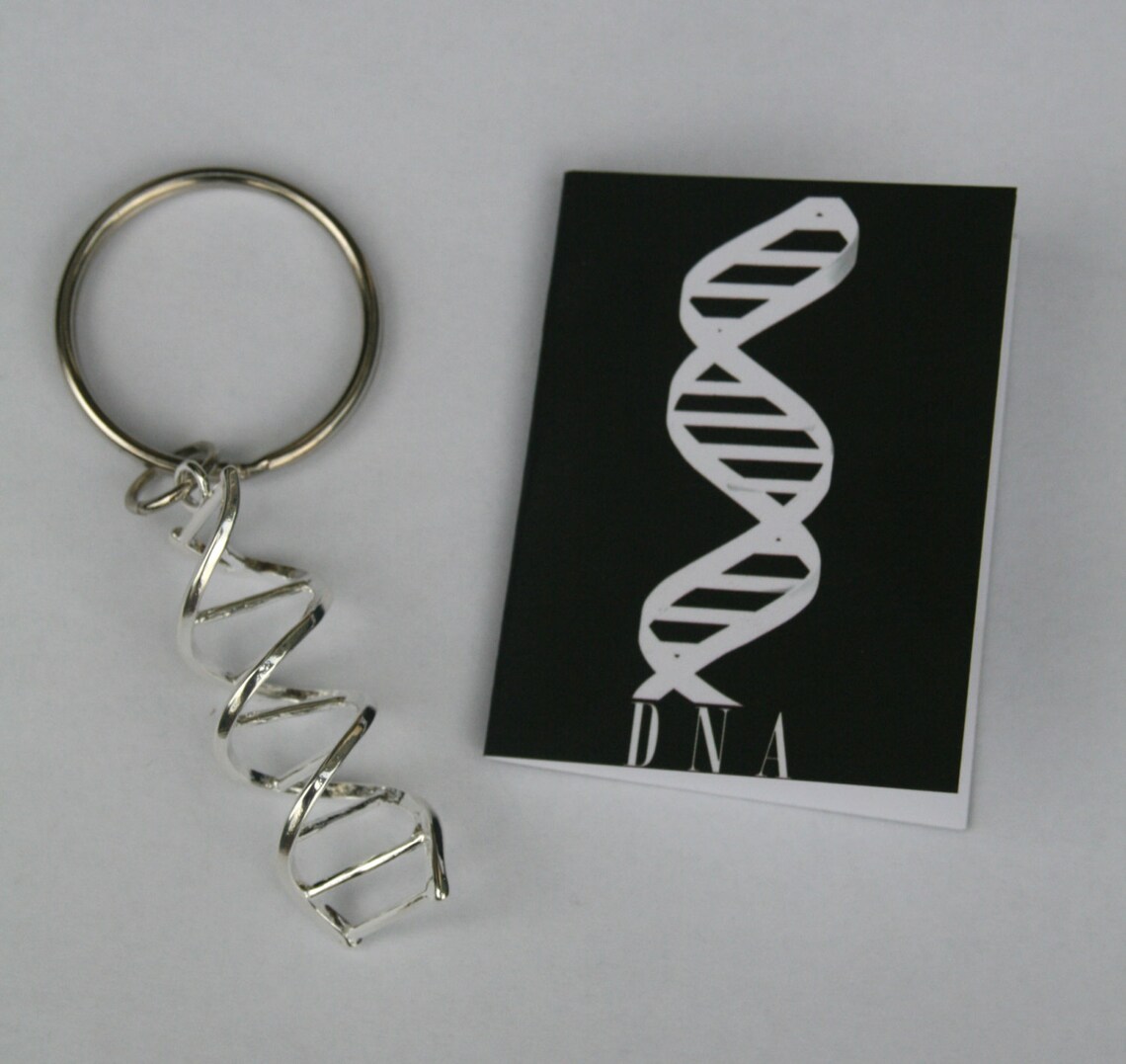 DNA Helix Science Key Chain Science Key Chain DNA Key Chain | Etsy