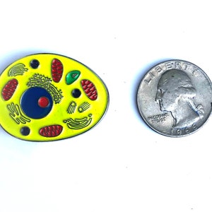 Biology Cell Lapel Pin Science Pin - Etsy