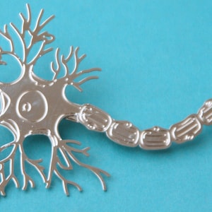 May include: A silver model of a neuron, a type of nerve cell, with a cell body and branching dendrites and axon. The model is on a blue background.