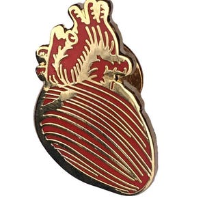 Anatomical Heart Lapel Pin Science gift science pin