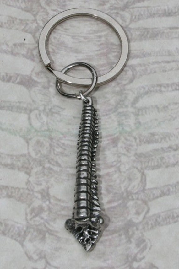 Spine keychain best sale