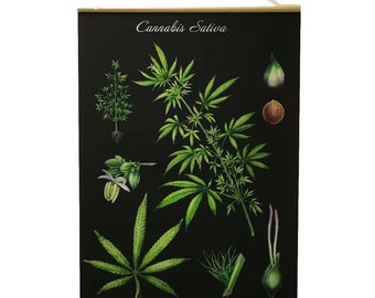 Cannabis Sativa Vintage Style banner