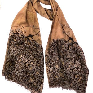 Neuroscience scarf Santiago Ramón y Cajal-tan  color