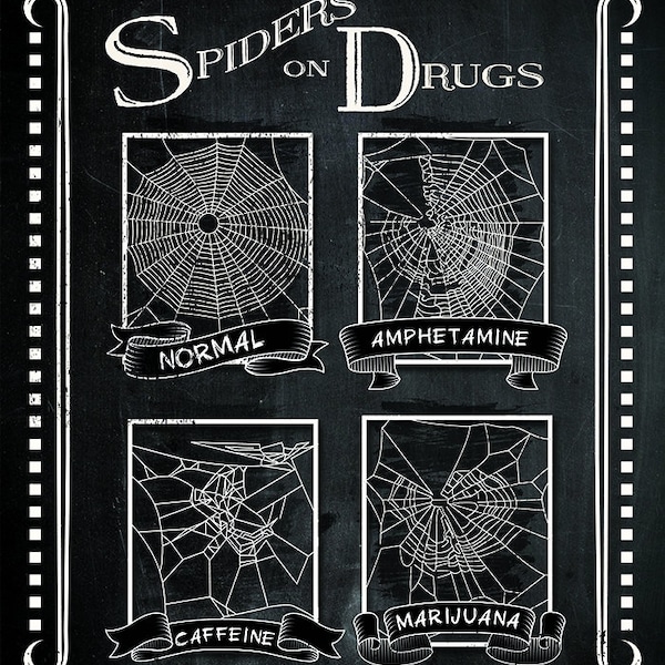Spider on Drugs Poster