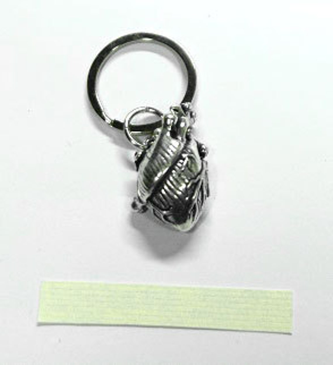 TaylorCustom Anatomical Heart Locket Keychain – Silver Tone – Unisex