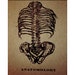Owner of <a href='https://www.etsy.com/shop/LAPsychstore?ref=l2-about-shopname&from_page=listing' class='wt-text-link'>LAPsychstore</a>