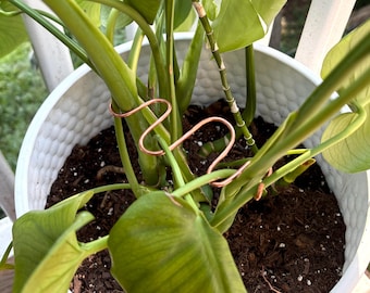 Modern Minimalist Copper Plant Stake