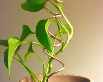 Wide Spiral Plant Trellis – 8” or 11” Copper Pothos Stake – Indoor Climbing Support