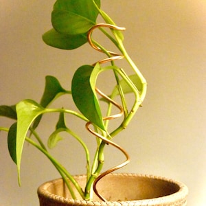 Wide Spiral Copper Plant Trellis – Indoor Climbing Support Stake for Pothos
