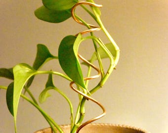 Wide Spiral Copper Plant Trellis – Indoor Climbing Support Stake for Pothos