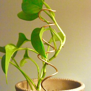 May include: A potted plant with bright green leaves and stems, supported by a copper wire spiral. The plant is in a woven basket-style pot, creating a natural aesthetic. The background is a neutral, solid color.
