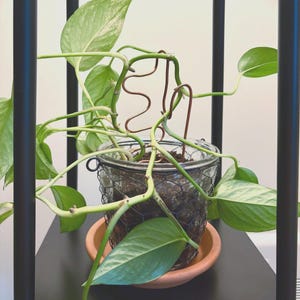 Copper Plant Stake – Handmade Minimalist Plant Support – Modern Houseplant Accessory