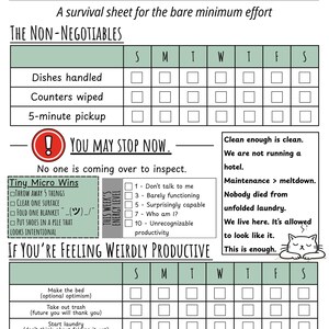 May include: A white and green checklist titled "FINE. I'LL CLEAN." with sections for daily tasks like dishes and laundry. Includes a "Tiny Micro Wins" section and humorous text about cleaning.