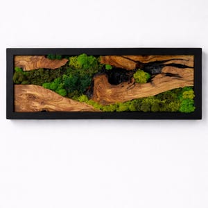 Olijfhouten kunst aan de muur mos, rustieke groene muurdecoratie voor woonkamerdecoratie