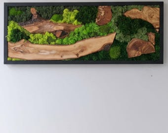 Olive Wood & Preserved Moss Wall Art, Handmade Botanical Wall Decor