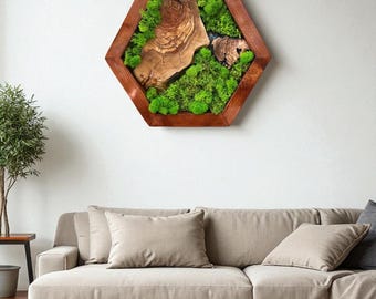 Olive Wood & Preserved Moss Hexagon Wall Art, Natural Wall Decor