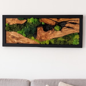 May include: A rectangular wall art piece featuring a natural wood and moss design. The artwork is framed in black and showcases a combination of light and dark green moss, and textured, light brown wood. The piece is mounted on a white wall.