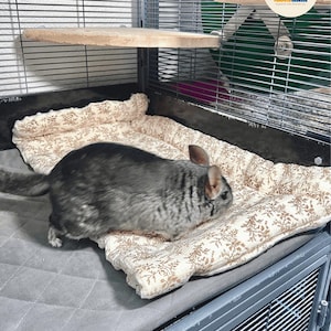 May include: A gray chinchilla in a cage with a patterned bed and wooden shelf. The cage is made of metal and has a green background. The bed has a floral design. The cage also has a logo that says "Funny Chinchilla".